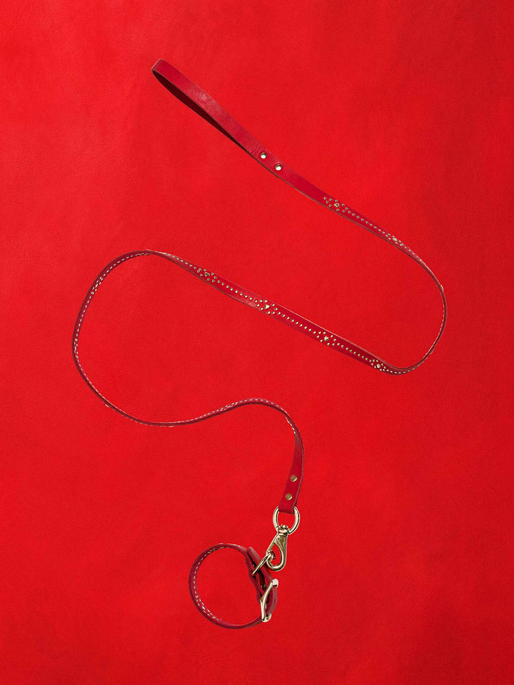 A red leather leash and collar with gold studs, against a red background.